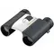 Бинокль Nikon Sportstar EX 10x25 DCF silver
