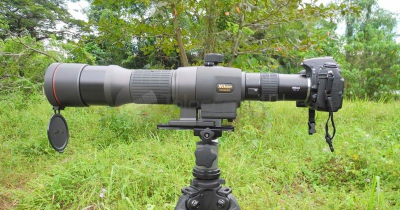 nikon edg fieldscope 85