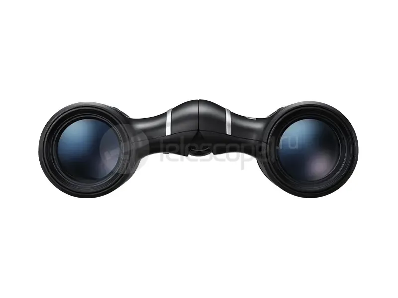 Бинокль Nikon Aculon T02 10x21 black