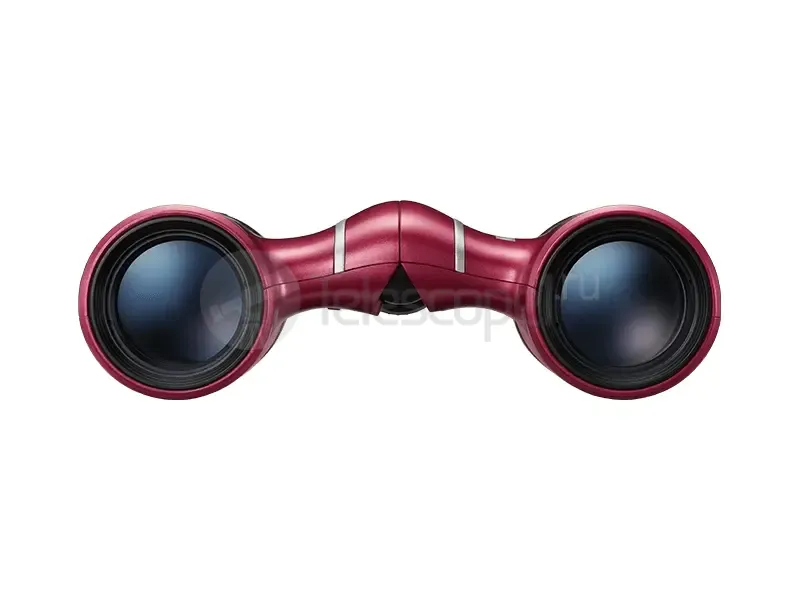 Бинокль Nikon Aculon T02 8x21 red