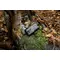 Тепловизор Pulsar Oryx LRF XG35