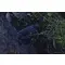 Тепловизор Pulsar Axion 2 XQ35 Pro