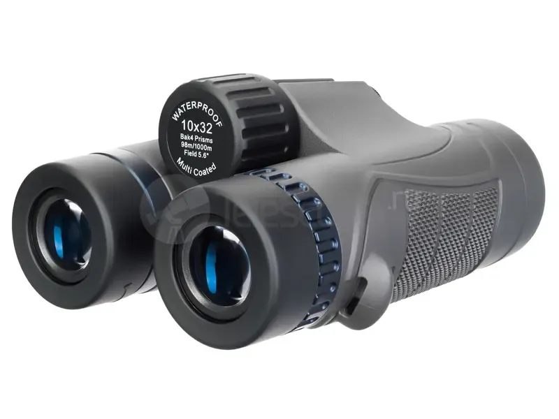 Бинокль Levenhuk Nitro 10x32