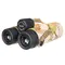 Бинокль Levenhuk Camo Pine 10x42 с сеткой