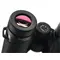 Бинокль Zeiss Victory SF 10x32