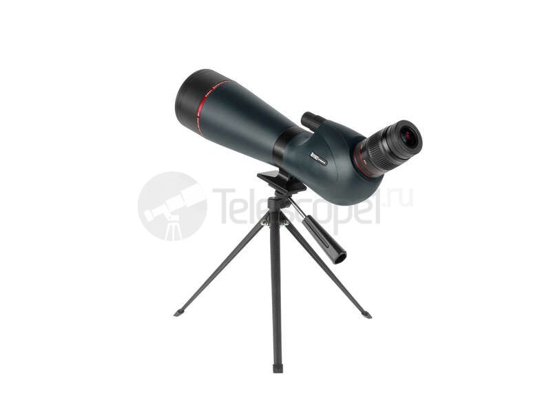 Veber Defence 20-60x80D WP с сеткой