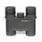 Бинокль Sturman 10x25 WP