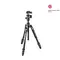Manfrotto Befree Advanced MKBFRTA4BK-BH (с шаровой головой MH494)