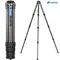 Штатив трипод Leofoto LS-364C CARBON (резьба 3/8)