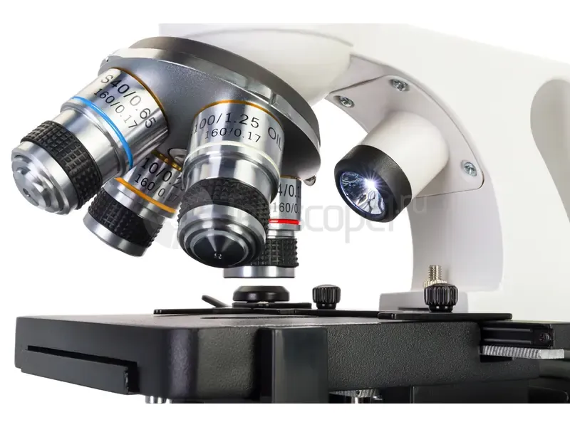 Микроскоп Discovery Atto Polar с книгой
