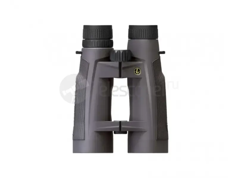 Бинокль Leupold BX-5 Santiam HD 15x56