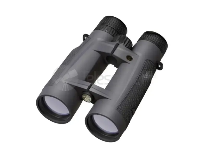 Бинокль Leupold BX-5 Santiam HD 15x56