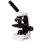 Микроскоп Bresser Junior Biolux 40x-2000x