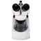 Микроскоп Bresser Erudit ICD 20x/40x