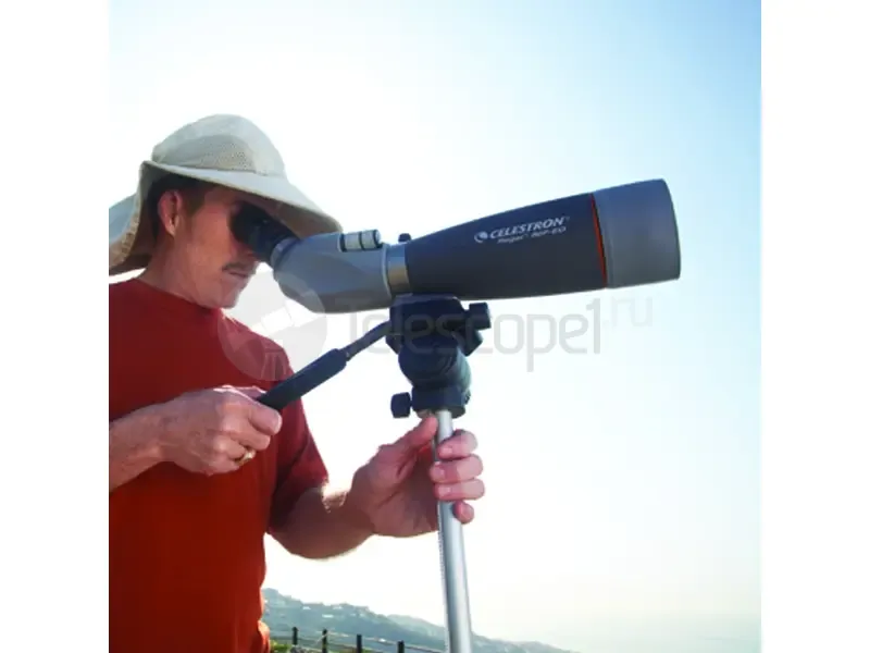Зрительная труба Celestron Regal 80 F-ED