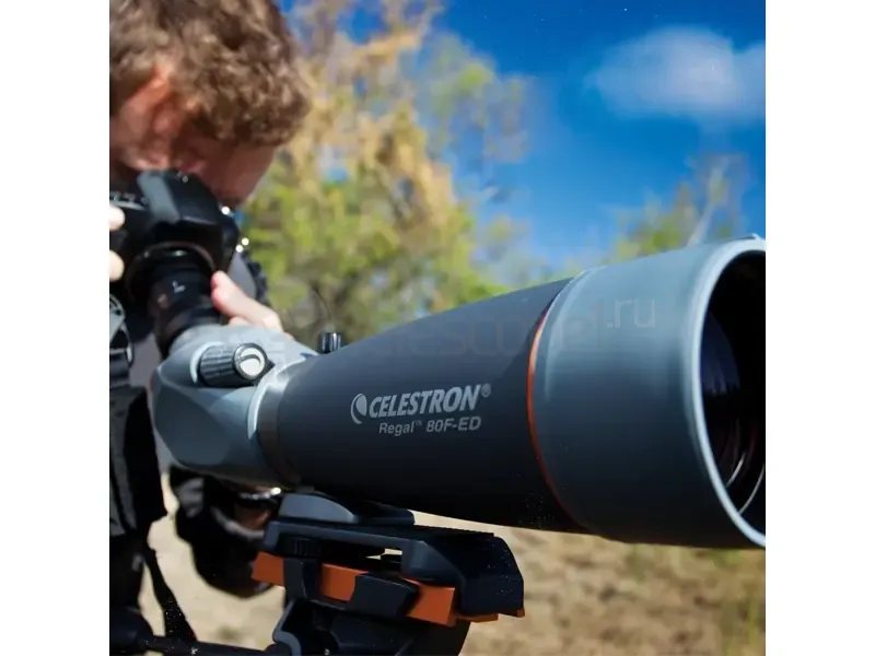 Зрительная труба Celestron Regal 80 F-ED