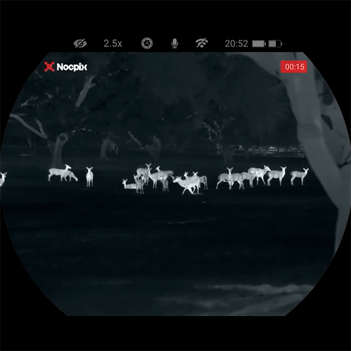 Посмотреть в прибор